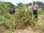 kerangka-manusia-di-ketewel_20151113_150652.jpg<pf>kerangka-manusia-di-ketewel_20151113_150733.jpg<pf>kerangka-manusia-di-ketewel_20151113_150808.jpg