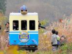 kereta-api-evolta-eboruta-di-kota-odate-akita_20141103_072706.jpg