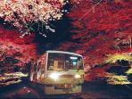 kereta-api-listrik-eizan-berjalan-di-antara-ratusan-pohon-momiji_20151110_080744.jpg