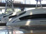kereta-cepat-tiongkok_20150920_064925.jpg
