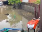 Warga Jembrana  Bali Tewas Diduga Tersengat Listrik Saat Buka Pintu Pagar Rumah