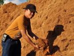 ketua-bidang-litbang-aiski-ady-indra-pawennari-memperlihatkan-tumpukan-coco-peat_20141102_105040.jpg