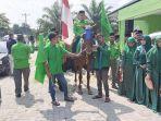 ketua-dpc-ppp-deliserdang-misnan-al-jawi-menunggangi-kuda.jpg