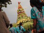 kirab-budaya-peringati-haul-ki-ageng-joko-tarub_20151129_194419.jpg