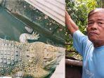 kisah-purnawirawan-tni-di-sragen-pelihara-buaya-selama-20-tahun-kini-terpaksa-rela-berpisah.jpg
