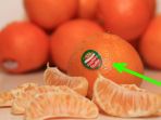 kode-buah-impor_20161208_085749.jpg