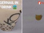 koi-boba-drink.jpg