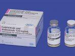koktail-antibodi-jepang.jpg