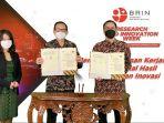 kolaborasi-brin.jpg