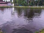 kolam-ikan-lokasi-tewasnya-bocah-11-tahun.jpg