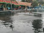 kolam-kuningan_20151222_114312.jpg
