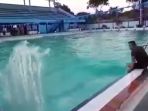kolam-renang-juanda_20181002_132408.jpg