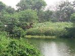 kolam_20180103_160154.jpg
