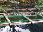 kolam_20180926_123639.jpg