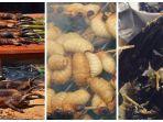 kolase-makanan-ekstrim-di-indonesia1.jpg