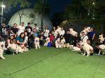 komunitas-samoyed-social-club.jpg