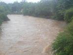 kondisi-air-di-aliran-kali-ciliwung-8-februari.jpg