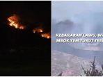 kondisi-hutan-di-gunung-lawu-viral-kabar-warung-mbok-yem232.jpg