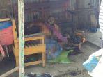kondisi-inek-usai-dibakar-anak-tiri_1.jpg