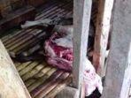 kondisi-kambing-mati1.jpg