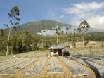 kondisi-kebakaran-hutan-lindung-gunung-slamet-yang-m.jpg