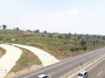 kondisi-perkebunan-walini-di-dekat-tol-cipularangjpg.jpg