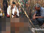 kondisi-petani-tewas-terpanggang-api-di-lahan-tebu-tempat-korban-bekerja-di-lamongan.jpg