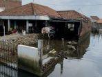 kondisi-rumah-warga-yang-tak-bisa-ditinggali-karena-banjir-rob.jpg