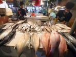 konsumsi-ikan-tingkatkan-kekebalan-tubuh-dan-bantu-atasi-penyebaran-covid-19_20200520_211912.jpg