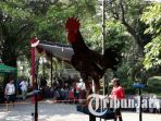 kontes-ayam-ketawa_20170514_124213.jpg