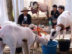 Gegara Krisis, Maroko Larang Warga Sembelih Domba saat Idul Adha
