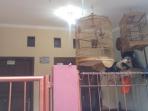 kontrakan-sanusi-korban-kopi-beracun_20161008_062309.jpg