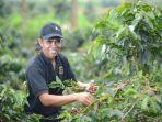 kopi-ok1234.jpg