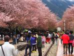 korea-selatan_20150613_083626.jpg