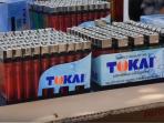korek-tokai_20160511_180200.jpg