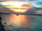 kotaamara_20151030_131513.jpg