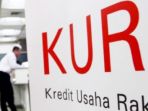 kredit-usaha-rakyat-kur_20161229_200312.jpg