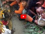 kronologi-penangkapan-buaya-di-kali-sasak-palur-sukoharjo-buaya-sempat-disetrum-listrik_20180411_122902.jpg