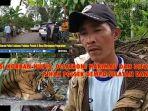 kronologis-6-warga-pagaralam-disatroni-harimau-dan-18-jam-terkurung.jpg