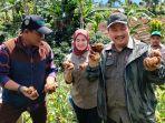 kualitas-luar-biasa-hasil-food-estate-hortikultura-garut.jpg