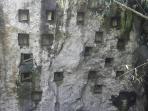 kuburan-bayi_20150820_125814.jpg
