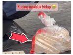 kucing-dalam-karung.jpg