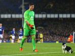 kucing-ganggu-laga-everton_20160110_031919.jpg