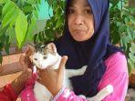kucing-melawan-kobra.jpg