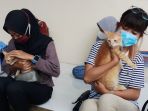 kucing-mendapatkan-suntikan-vaksinasi-rabies-di-tangerang_20210303_180121.jpg
