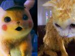 kucing-mirip-karakter-pikachu-setelah-diluluri-kunyit.jpg