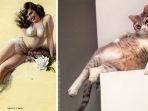 kucing-pose_20170104_204530.jpg