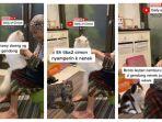 kucing-viral-antri-minta-digendong-nenek.jpg