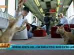 kucing_20170911_203640.jpg