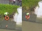 kucing_20180903_205115.jpg